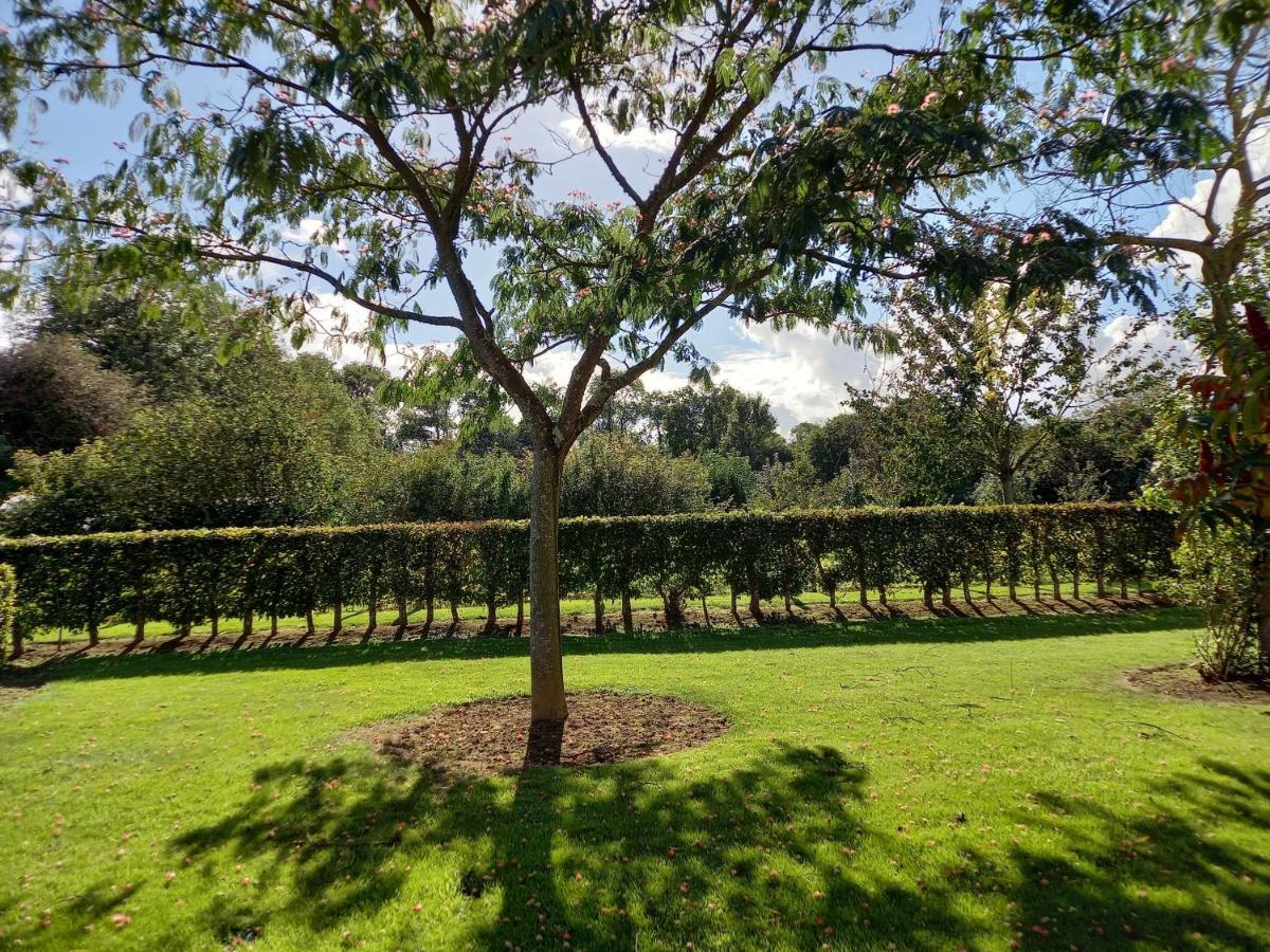 Вилла Les Bleuets Mandeville-en-Bessin Экстерьер фото